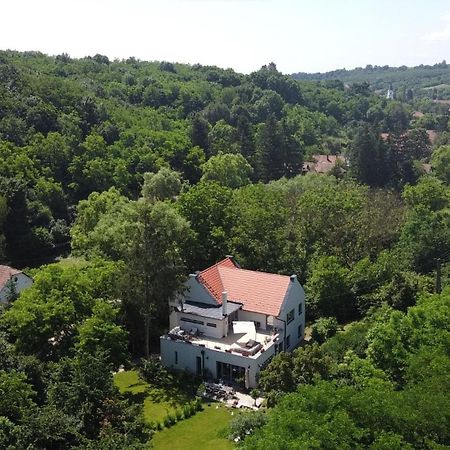 Villa Viridis Buekkalja Borsodgeszt 外观 照片