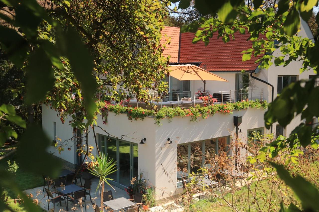 Villa Viridis Buekkalja Borsodgeszt 外观 照片