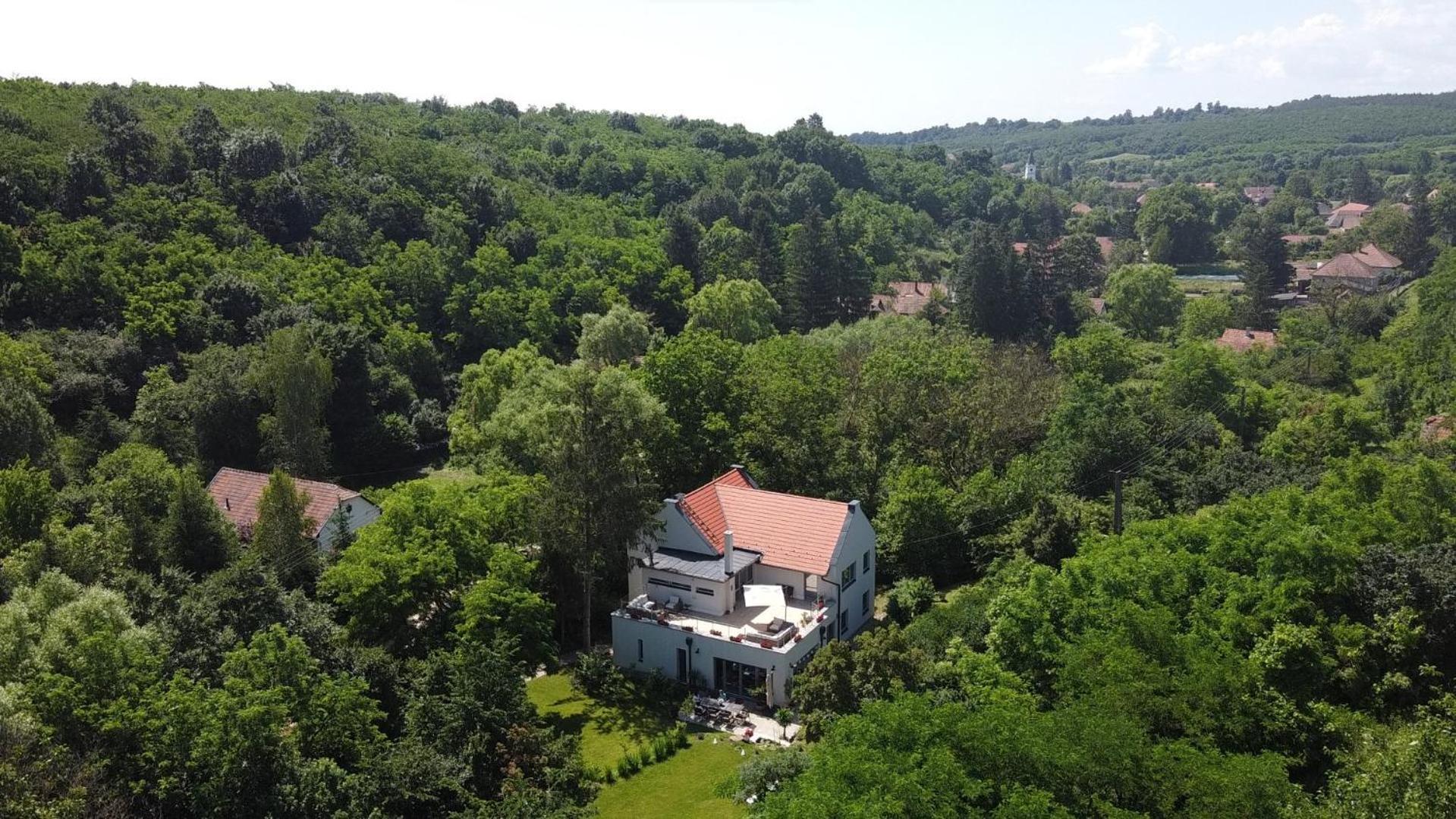Villa Viridis Buekkalja Borsodgeszt 外观 照片