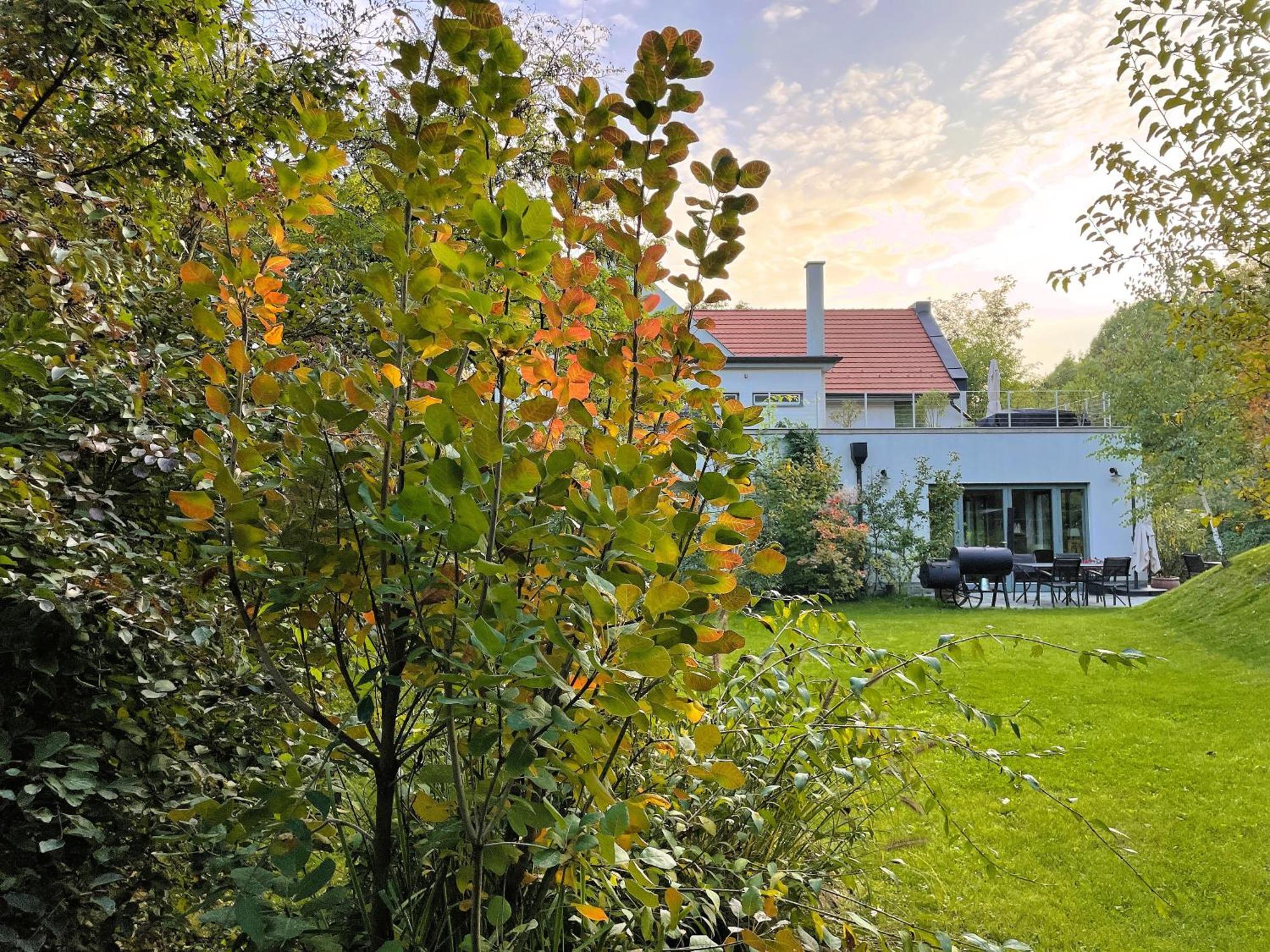 Villa Viridis Buekkalja Borsodgeszt 外观 照片