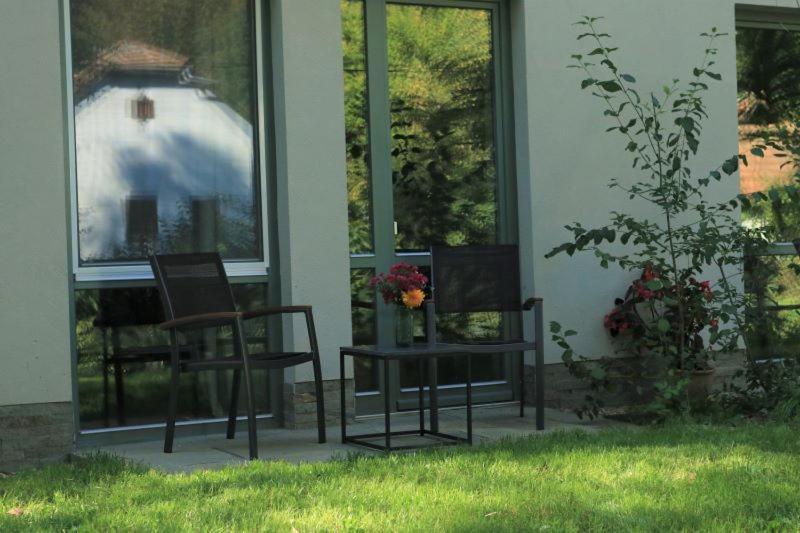 Villa Viridis Buekkalja Borsodgeszt 外观 照片